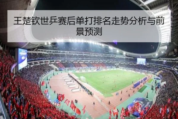 王楚钦世乒赛后单打排名走势分析与前景预测