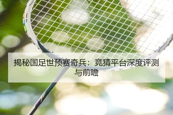 揭秘国足世预赛奇兵：竞猜平台深度评测与前瞻